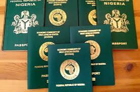 Immigration Services Begins Digital Passports Acquisition for Nigerians in Diaspora