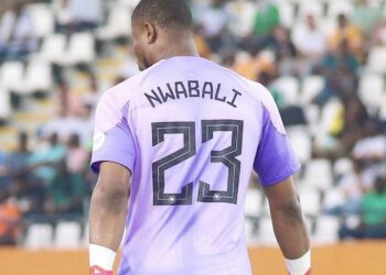 CAF Awards: Onana, Nwabali, Other Nominees for Goalkeep