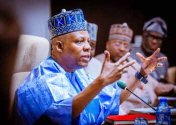 Nigerian Vice-President Says Over N300 Billion Lost in #EndBadGovernance Protests