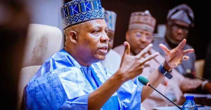 Nigerian Vice-President Says Over N300 Billion Lost in #EndBadGovernance Protests