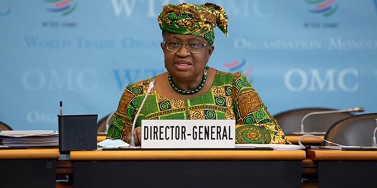 WTO Confirms Okonjo-Iweala As Sole Candidate For Director-General Role