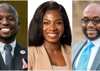 NiDCOM Congratulates More Nigerians Who Won Elections Abroad