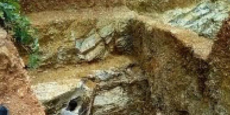 22 Feared Dead In Nigeria As Mine In Gashaka-Gumti National Park Collapses