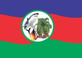 Planned Factional IYC Protest Is Security Risk, INC Tells DSS, Others