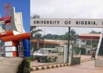 Vice Chancellors Positions in South East Universities: Merit or Palliative for Political Settlements