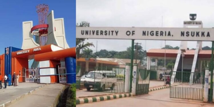 Vice Chancellors Positions in South East Universities: Merit or Palliative for Political Settlements