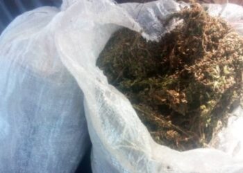 Taraba: 6 Brigade Troops Arrest 12 Kidnappers, Seize 14 Motorcycles, Pistol, Indian Hemp