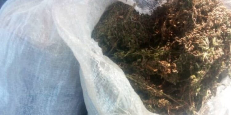 Taraba: 6 Brigade Troops Arrest 12 Kidnappers, Seize 14 Motorcycles, Pistol, Indian Hemp