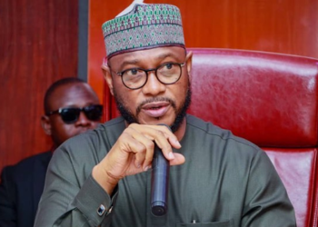 Some States May Not Survive If Tax Bills Are Passed — Zamfara Gov