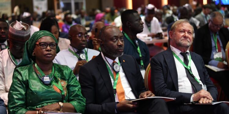 ECOWAS Members Tasked On Cross-Border Cooperation To Meet Growing Energy Demand