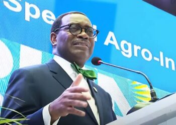 AfDB To Release $2.2bn Nigerian Agro-Industrial Fund From 2025