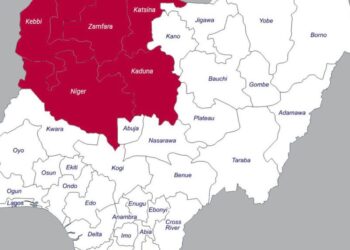 Banditry: Desperate Politicians Envious of Tinubu, Aiding Banditry in North West  – Group