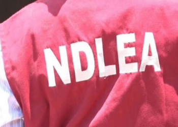 NDLEA Storms Kano Drug Joints, Arrests 18 In Major Raids