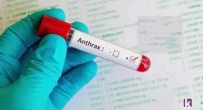 Re-emergence of Anthrax Highlights Public Health Risks in Nigeria