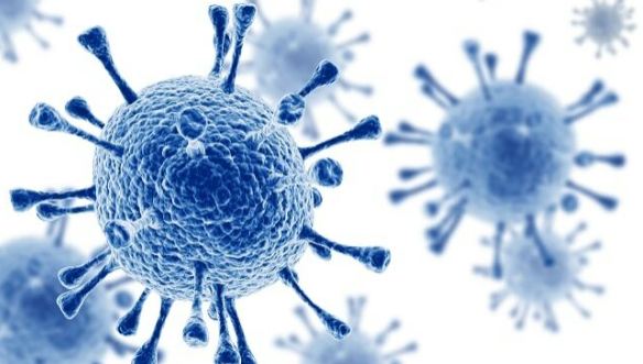 US Aid Cut Sparks Health Crisis Warning in Nigeria