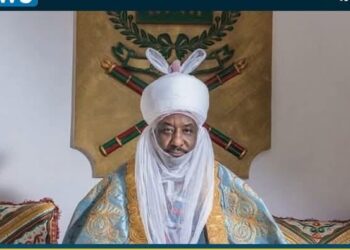 Human Rights Advocate  Falana Urges End To Kano Emirate Dispute