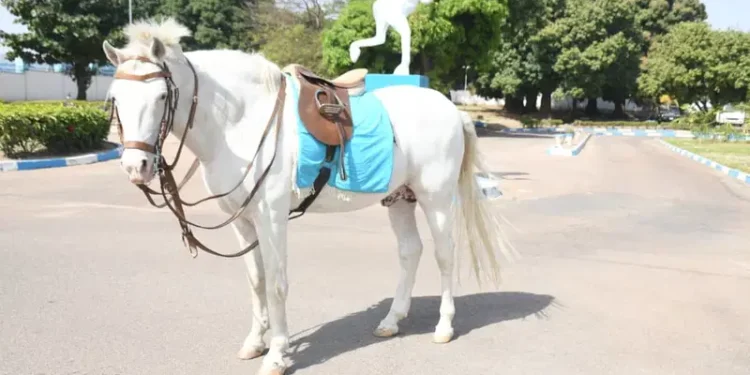Nigerian Army Bids Farewell to Beloved Mascot with Military Funeral