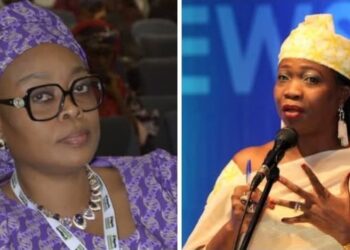 NiDCOM Hosts Sensitization Program to Unlock Diaspora Investment Potentials in Northeast Nigeria