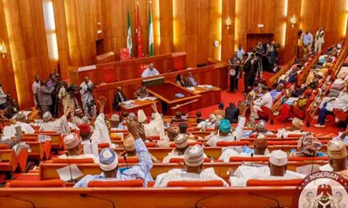 Senate Alleges Retired Generals Behind Illegal Mining, Calls for Tougher Action