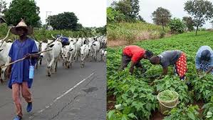 Okpella Takes Bold Steps Towards Sustainable Security Amid Herders-Farmers Clashes