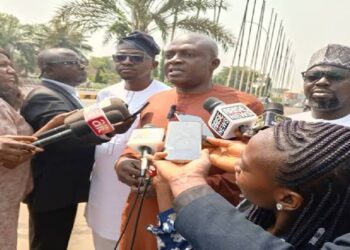 Cashew industry capable of injecting $3.7 bn to Nigerian economy – Association