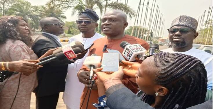 Cashew industry capable of injecting $3.7 bn to Nigerian economy – Association