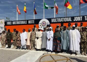 Troops neutralise 310 terrorists in Lake Chad region – MNJTF