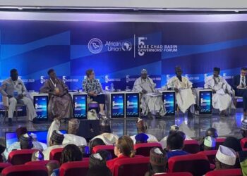 AfDB spends $2bn on Lake Chad’s stability efforts – Official