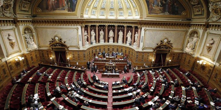French Senate Approves Bill to Ban Marriage for Undocumented Migrants