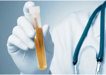 States Now Mandate Drug Tests For Appointees, Employees — NDLEA