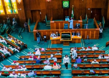 Nigeria House Committee Rejects All 31 State Creation Proposals