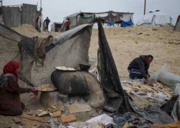 US Funding Freeze Halts WHO Health Operations in Gaza