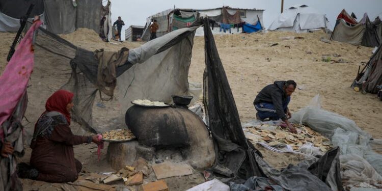 US Funding Freeze Halts WHO Health Operations in Gaza