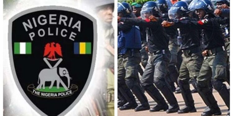 Police Denies SARS Return, Insists Unit Remains Dissolved