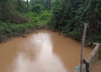 Communities Face Existential Threat From Dangote’s Coal Mining In Benue South
