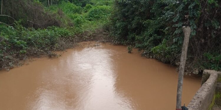 Communities Face Existential Threat From Dangote’s Coal Mining In Benue South