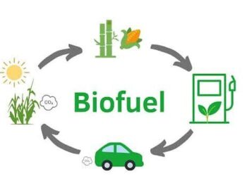 Exclude Biofuels From Global Fuel Standard, CAPPA, 68 NGOs Urge IMO