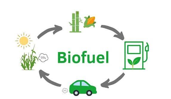 Exclude Biofuels From Global Fuel Standard, CAPPA, 68 NGOs Urge IMO