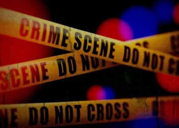 Gunmen Kill Eight in Deadly Attack in Central Mexico