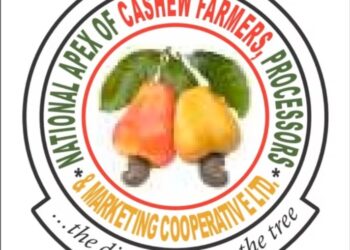 Expert Calls for National Programme to Harness Climate, Economic Benefits of Cashew