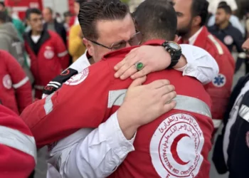 Red Cross Condemns Killing of Medics in Gaza