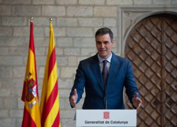 Spain and Ireland Condemn Israel’s Actions in Gaza as EU Leaders Meet