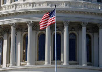 Cornell PhD Student Facing Detention After Lawsuit Against Trump Administration