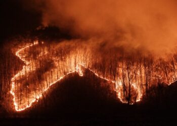 South Korea Battles Raging Wildfires as Historic Temple Burns