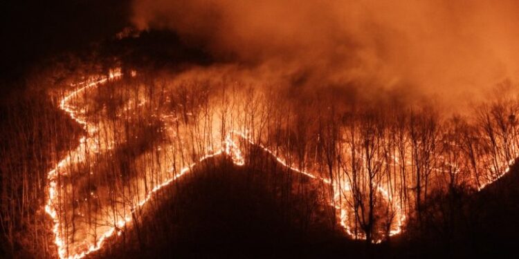 South Korea Battles Raging Wildfires as Historic Temple Burns