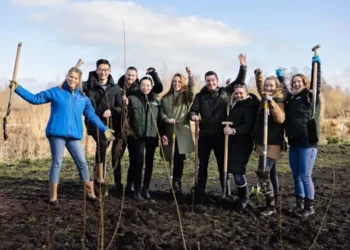 UK Launches Major Tree Planting Project to Create New National Forest
