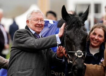 Ferguson’s Horses Poised to Dominate Cheltenham