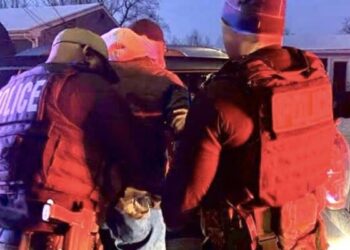 Nigerian Chisom Umeadi Extradited to US Over Multinational Fraud Case