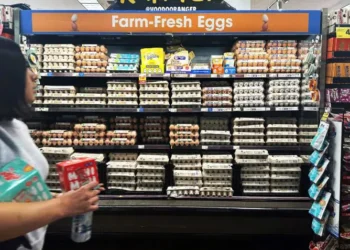 Egg Prices Surge in New York as Bird Flu Spreads