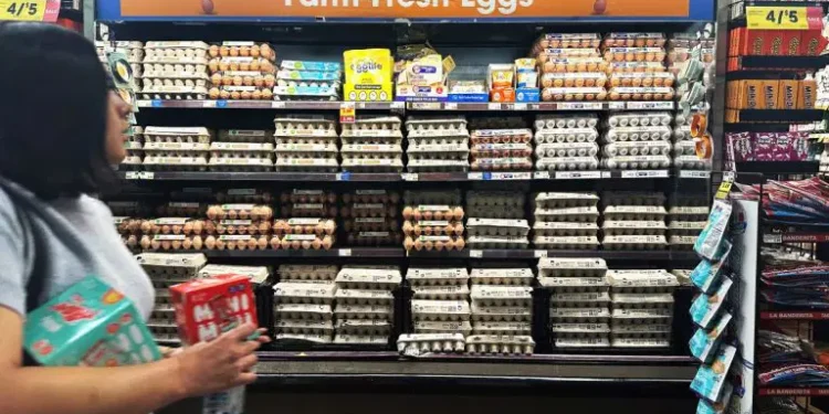 Egg Prices Surge in New York as Bird Flu Spreads